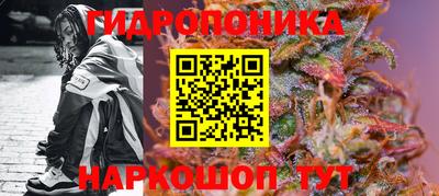 эйфоретик Будённовск