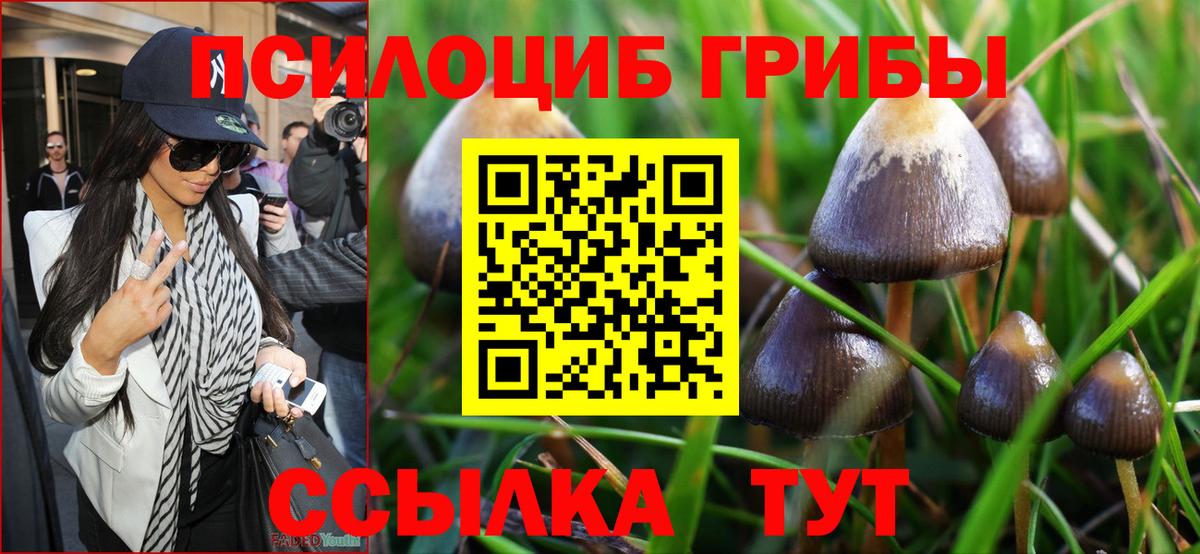 Галлюциногенные грибы Cubensis  Вход с VPN  Сатка 