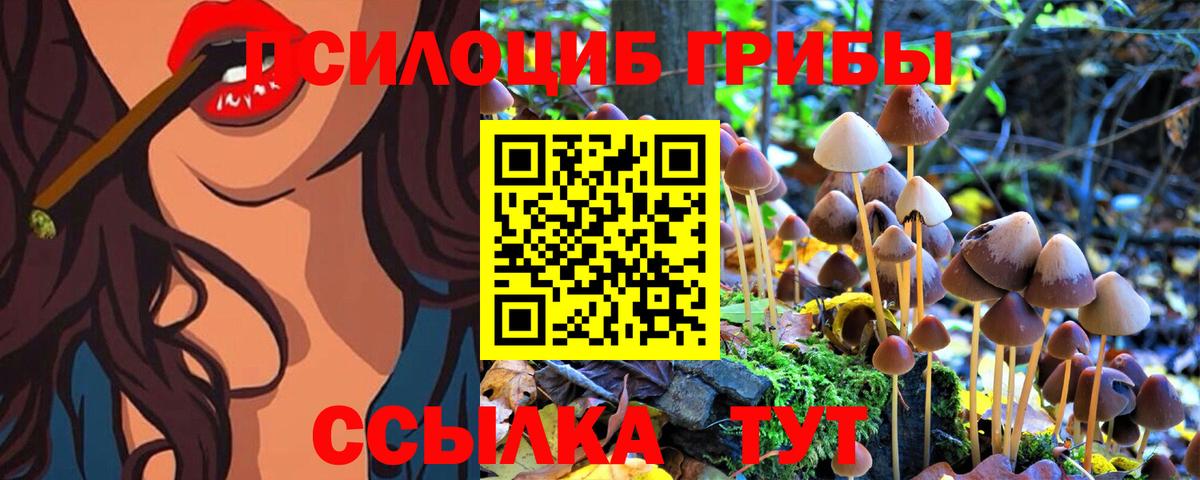 Галлюциногенные грибы Psilocybine cubensis Сатка